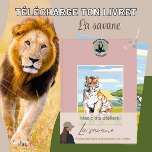 La savane livret d'activité